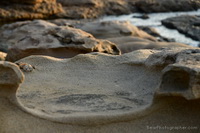 forte fotografia naturalistica maschile